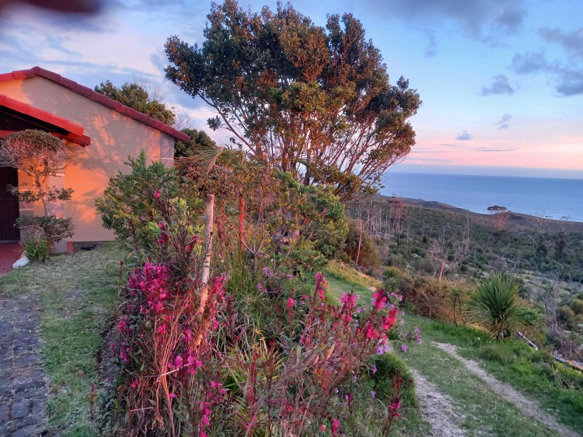 110 Bay View Appartement Brenton-on-Sea Buitenkant foto